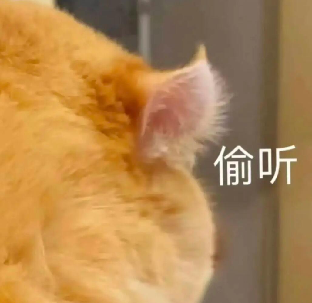 优先购都谁抢走了 