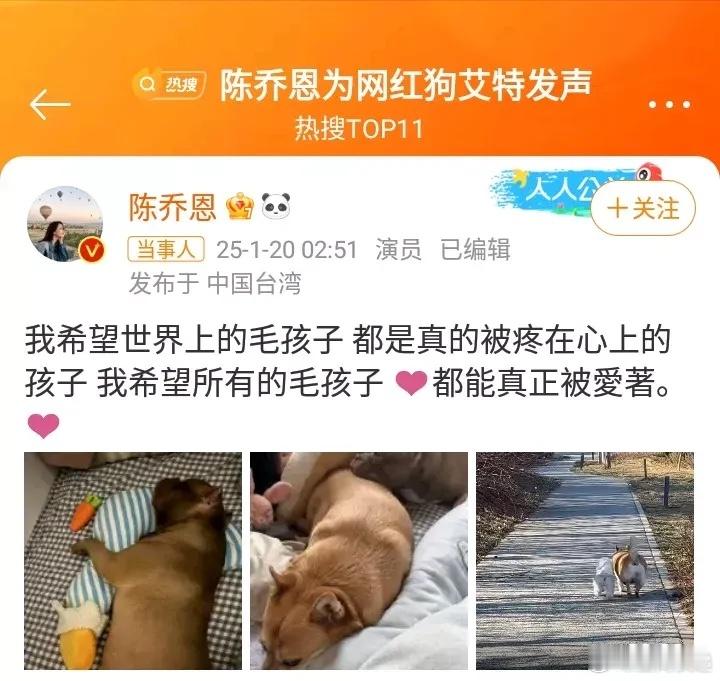 陈乔恩为网红狗艾特发声 继昨日潘宏给网红小狗艾特洗澡直播致死后，今日陈乔恩为网红