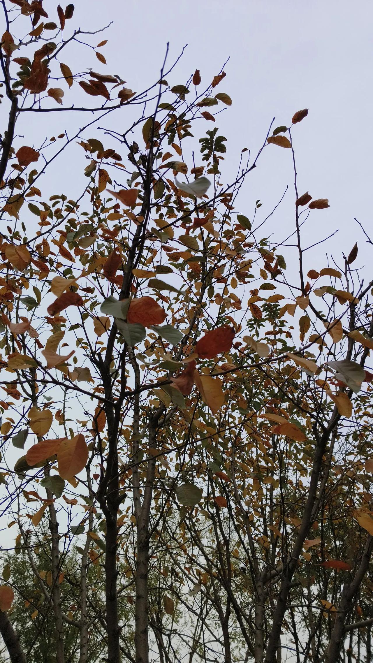 我没有压倒一切的嗜好。
也许，看见眼前的时光，就是最大的爱好了吧。