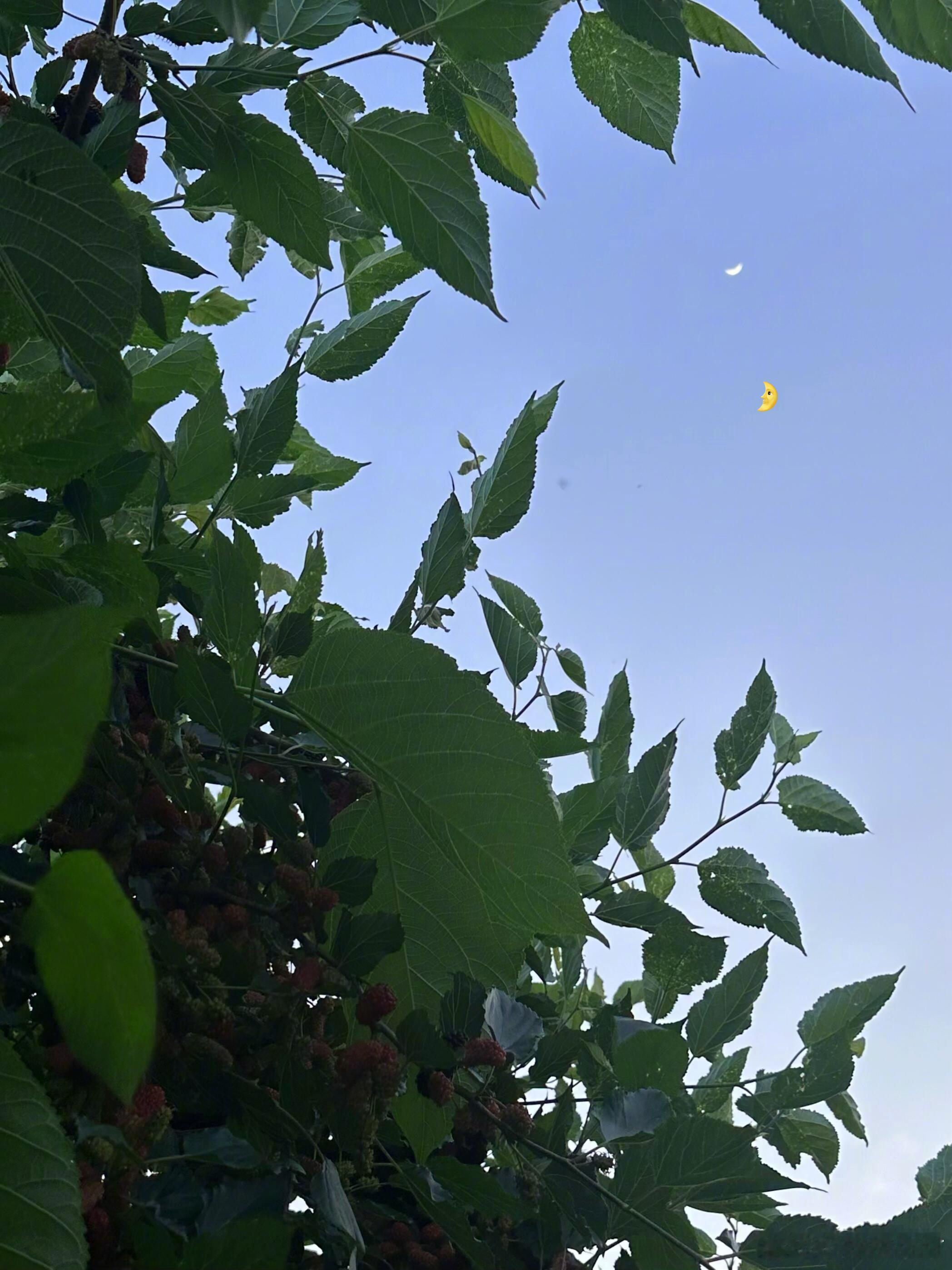 「🍊五一plog」五一小长假结束的第二天，想它……五天的假期没有一天是浪费的，