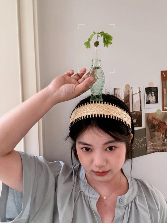 头顶上的“鱼缸长草了”
