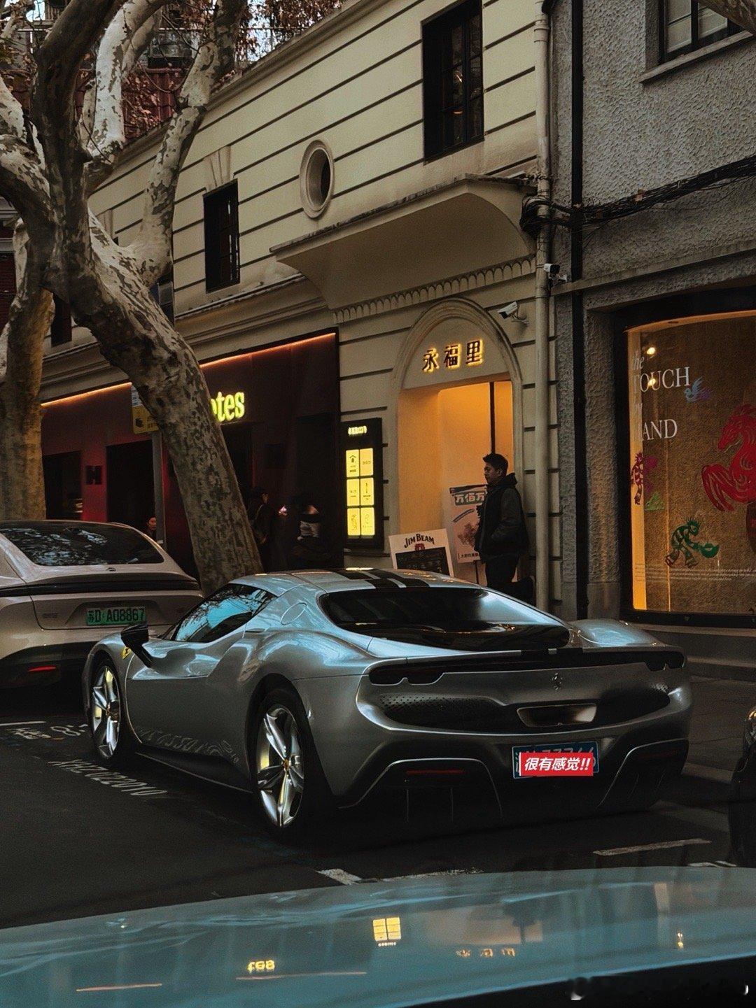 近期所见 不是很冷的冬日 上海