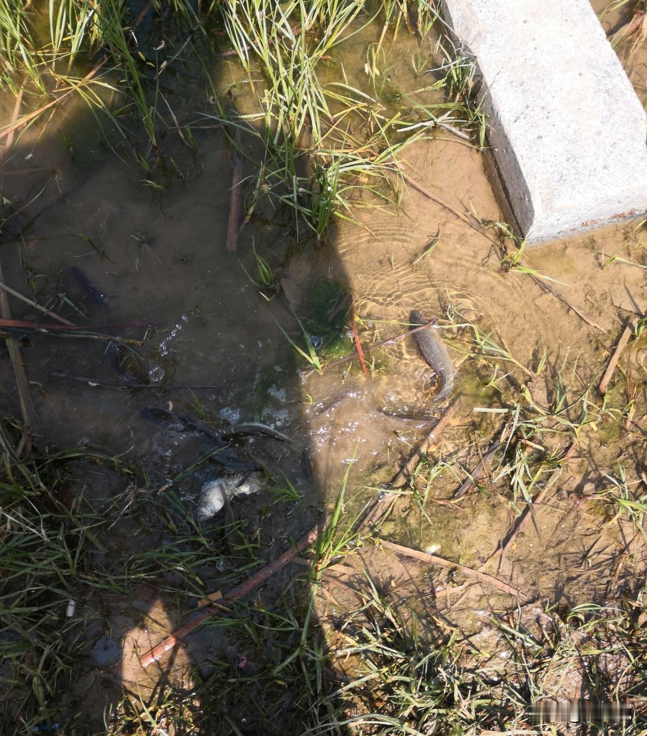 世间万物，皆有规律。
手心握住一把细沙，攥得越紧，流失得越快。
轻轻释怀摊开，反