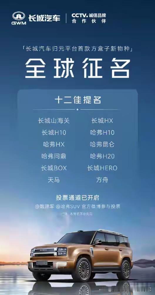 长城首款旗舰方盒子命名成了大难题，魏总在网上征集提名，目前入选了12个，让大家投