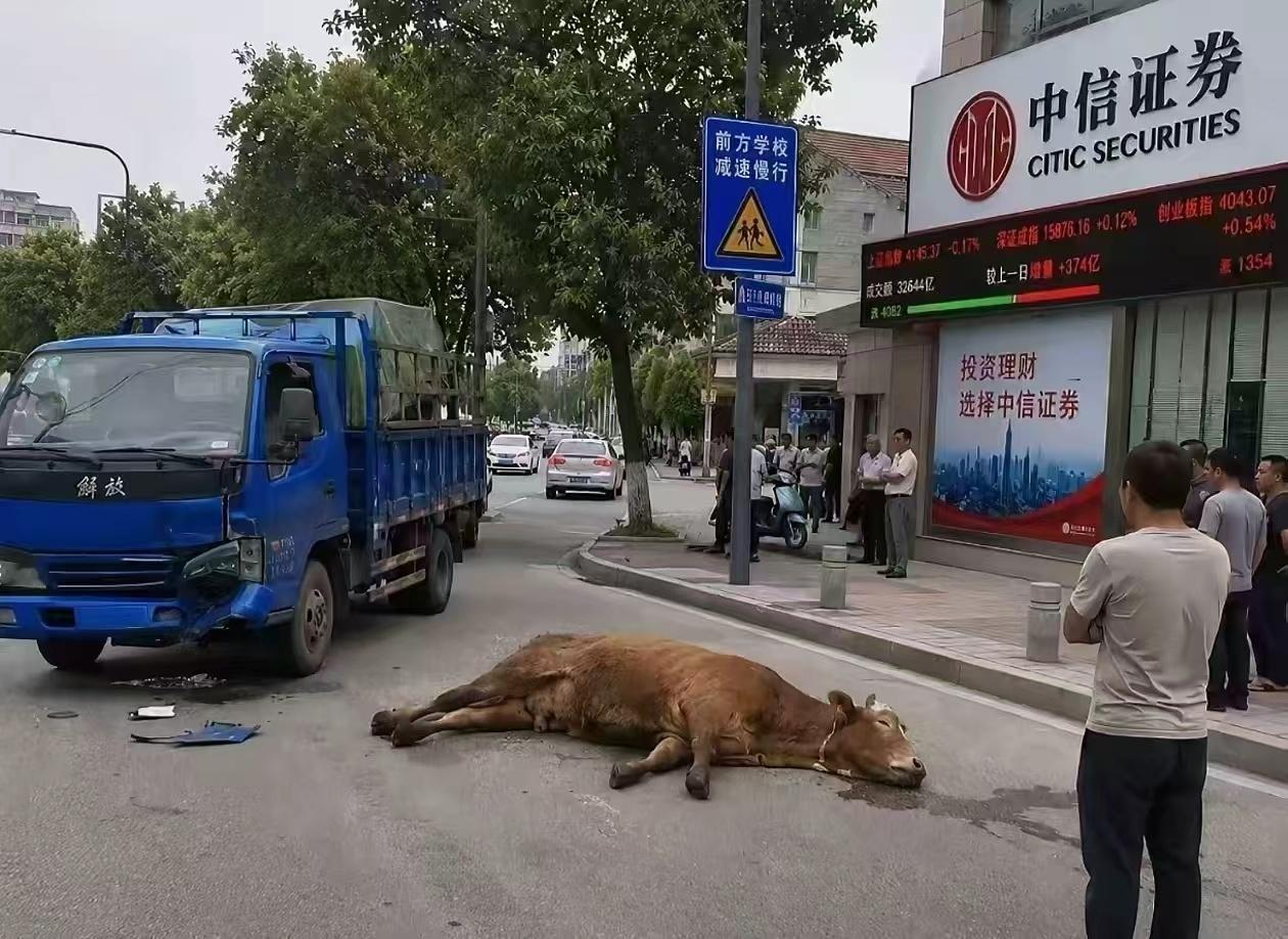 分享图片 