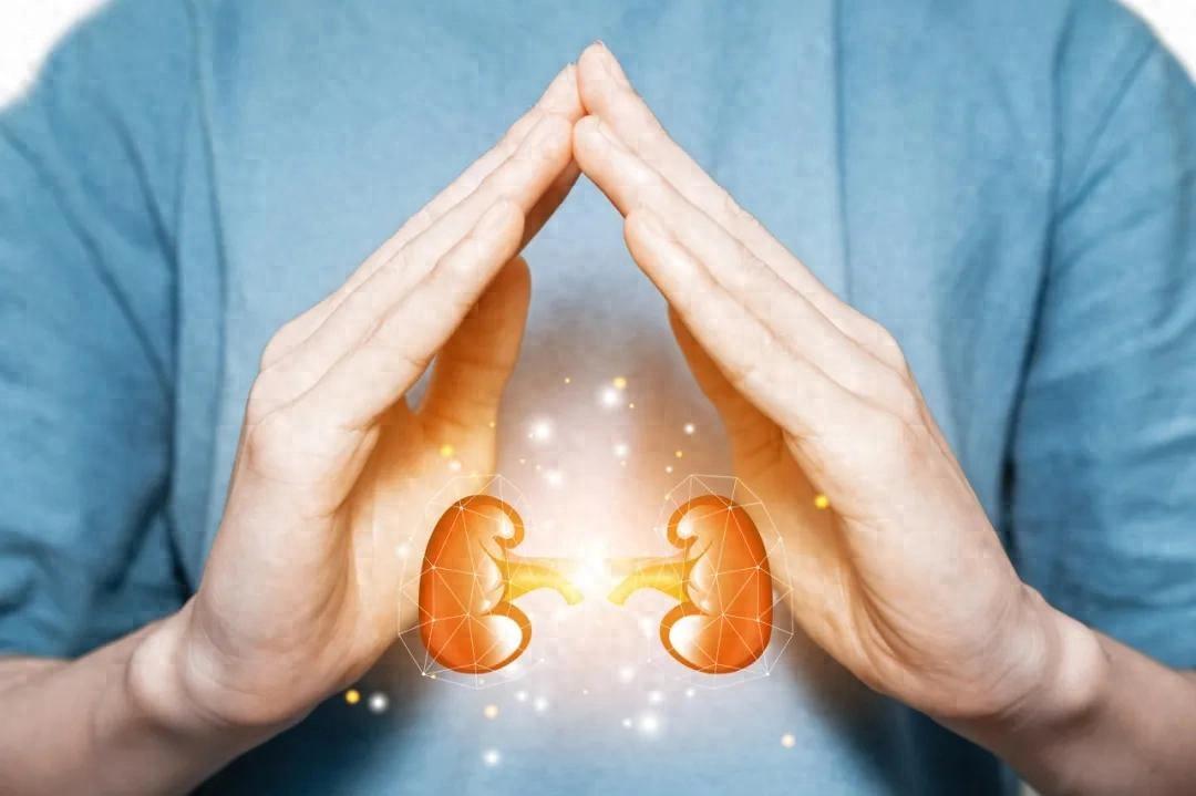 透支的肾，是补不回来的！这 5 个伤肾行为，很多人都在做！

肾这个器官特别耐"