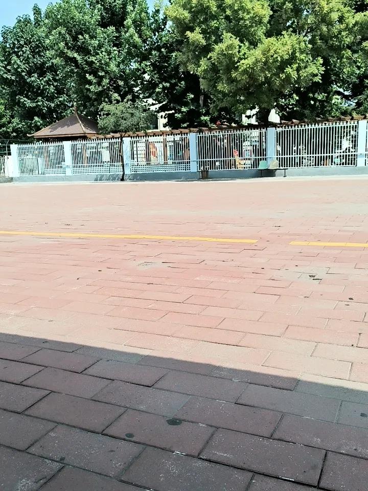 或许还是文学家能拆模人的心理，今天我就装一个七旬老人，坐在小区的广场看看芸芸众生