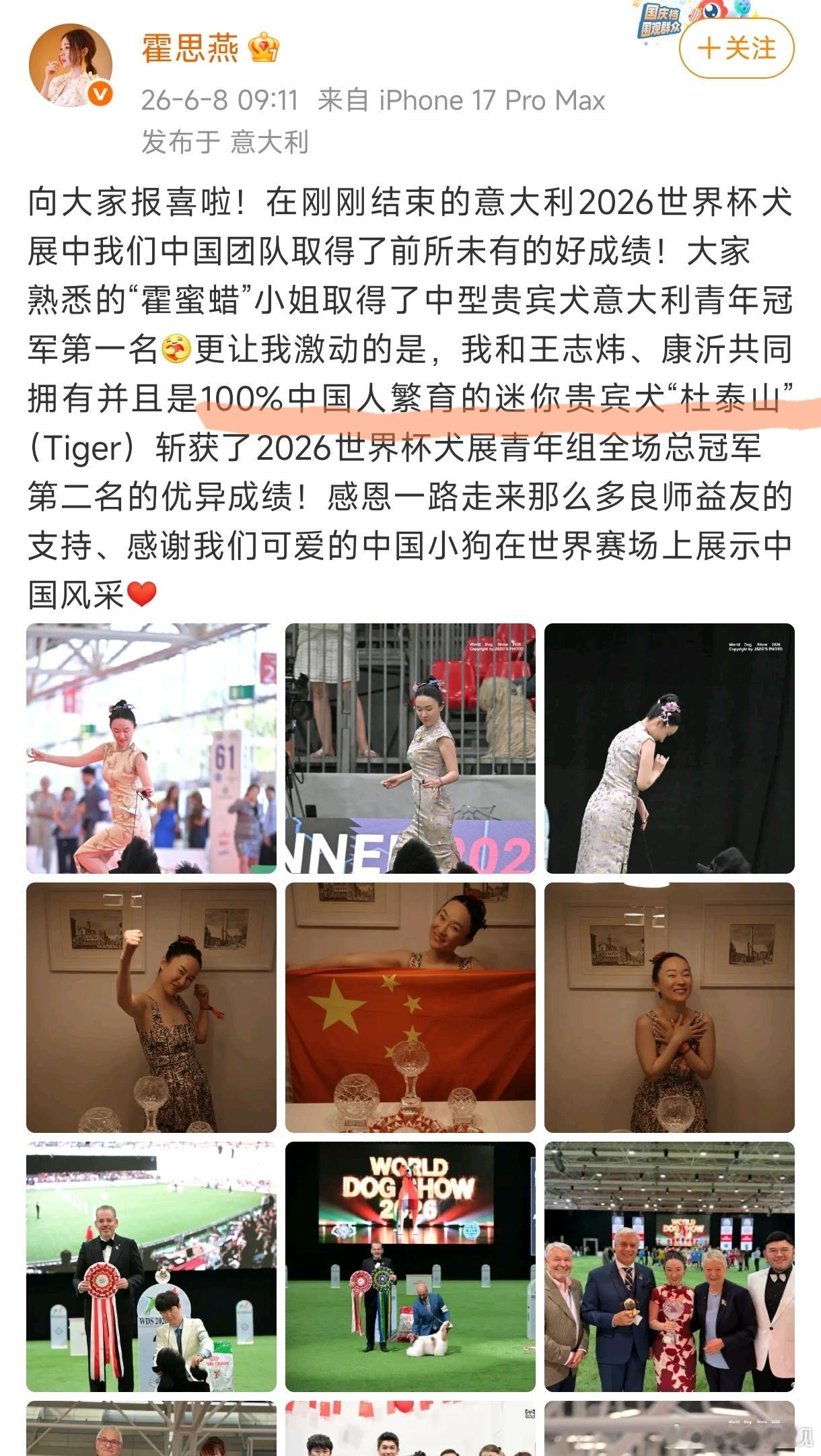 霍思燕：100%中国人繁育的迷你贵宾犬拿了世界冠军第二名
