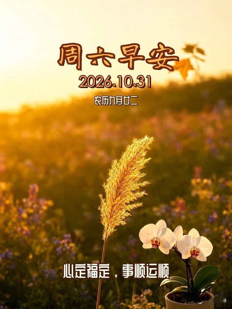 🍂²⁰²⁶/₁₀.₃₁ ᵕ̈ 周六早安｜安然暮秋☕️🍞🍒🍑
晓色临秋户，