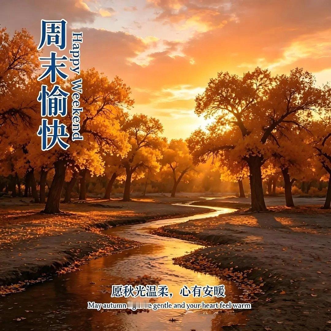 【做一个有教养的人🌺】什么是有教养？教养反映一个人的文化品德修养，是环境、教育