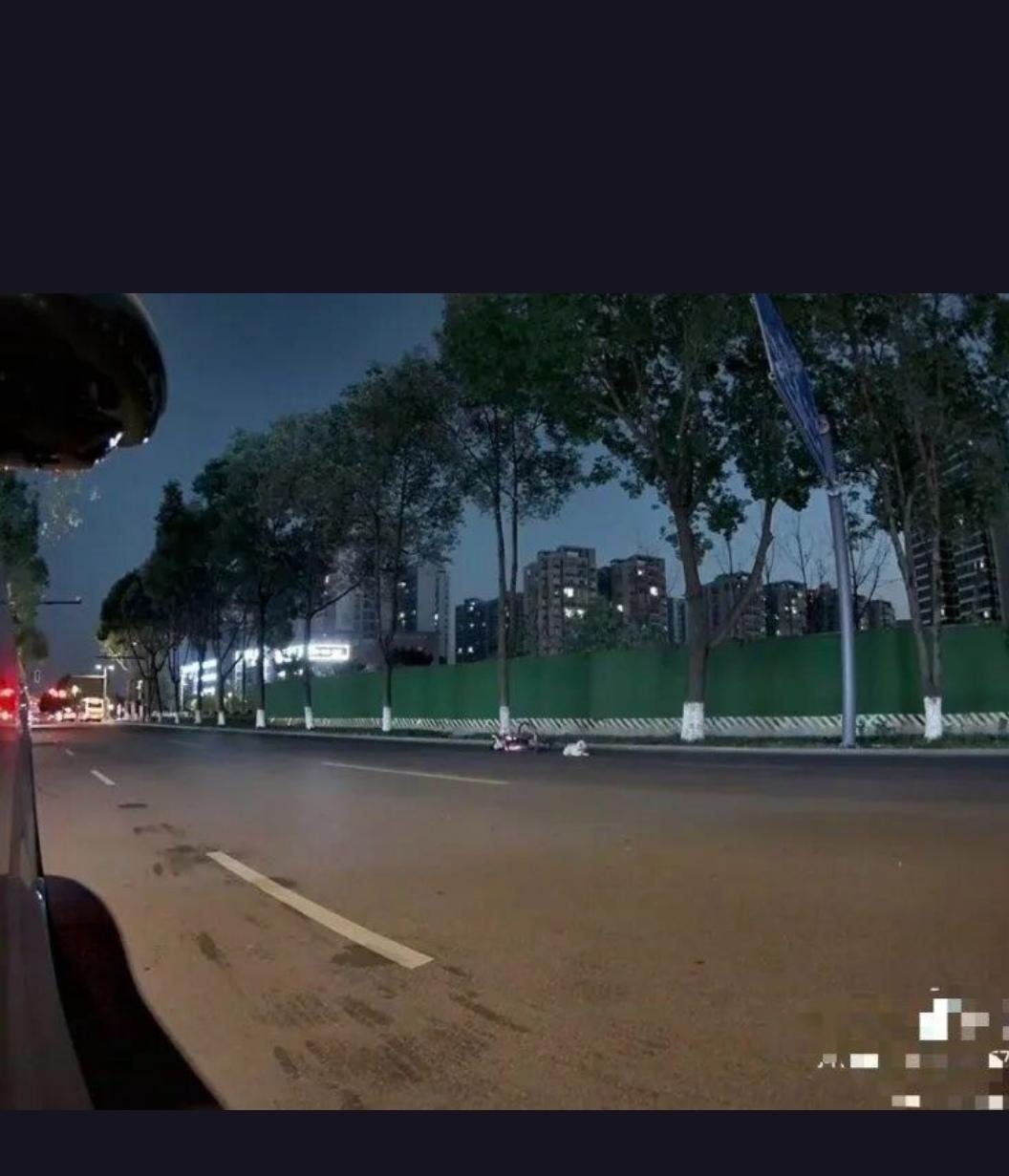 女子上班途中被大狗撞倒身亡，丈夫也住进ICU，究竟发生了什么？
近日，四川成都接