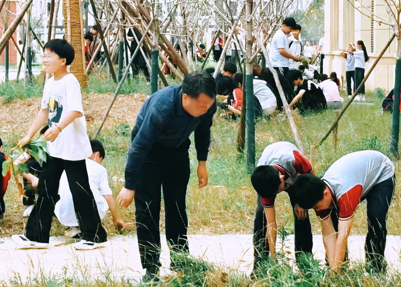 学校组织学生拔草，学生挺兴奋，但是不会干，细皮嫩肉的手没有力气，很多学生连草也拔