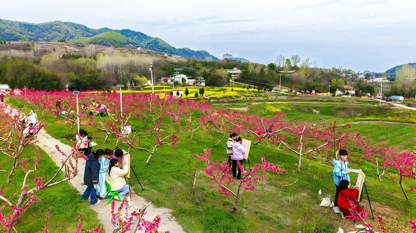 赴淅川花约，不负好春光
春和景明，繁花似锦！3月28日，“春满淅川·花漾之旅”2