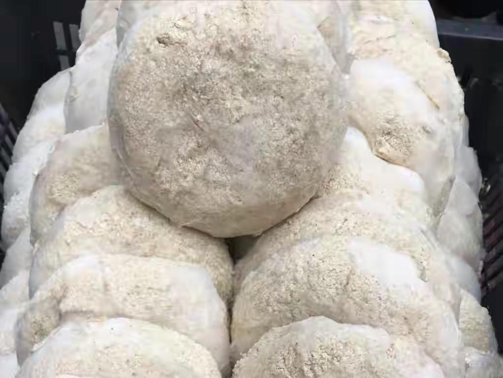 湖北最有“特色”的6道菜，当地人吃不腻，在外地很难吃到

1、霉豆渣
2、虾鮓