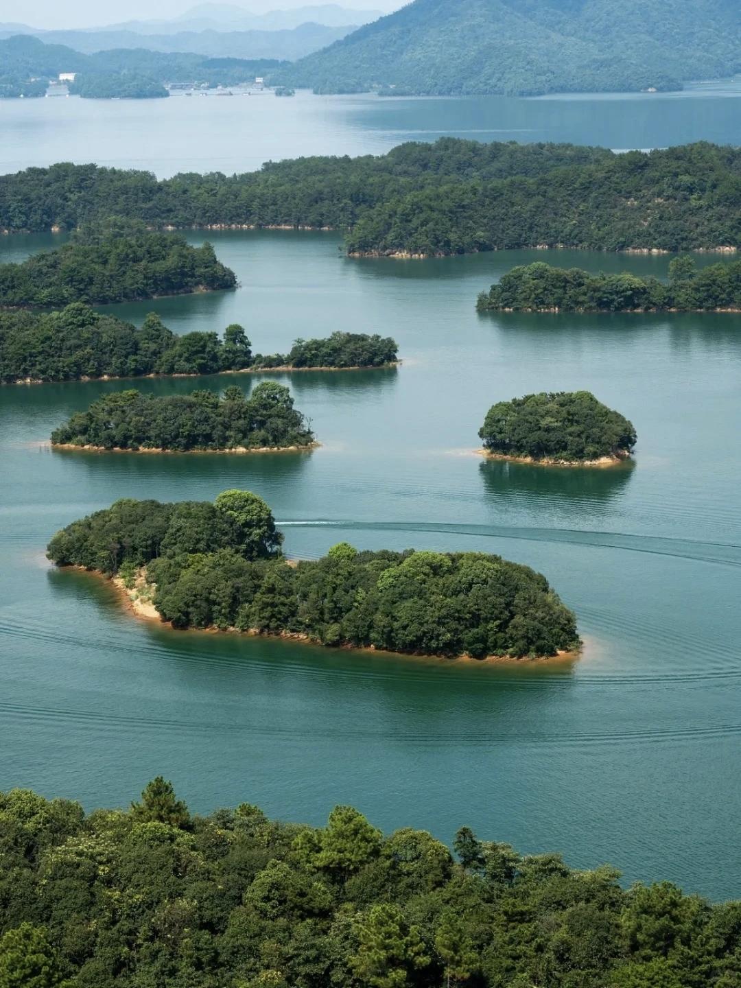 【木桶定律】整体效能取决于最短板
        木桶定律说整体效能取决于最短板