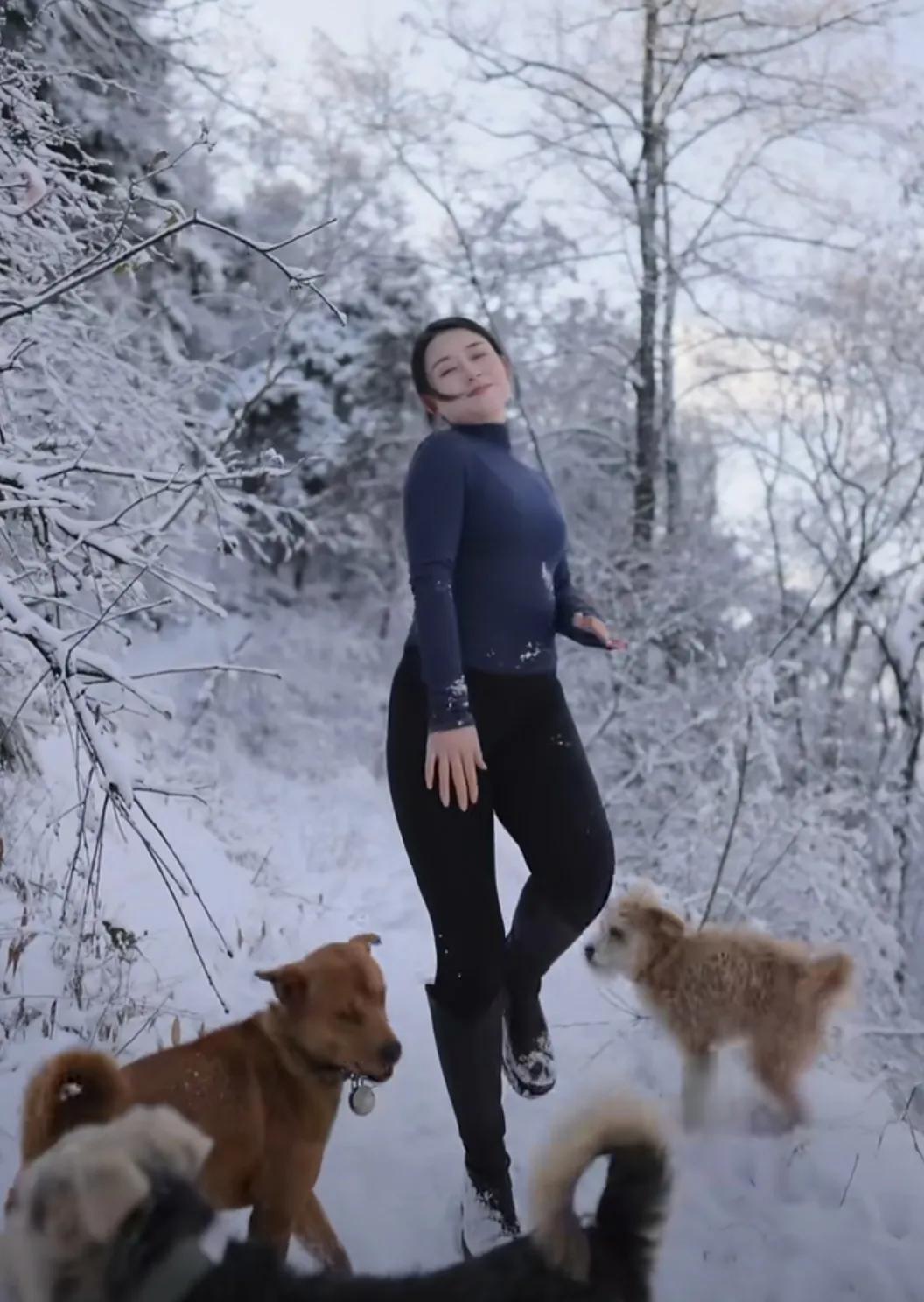 ‌冬日的山乡，静谧而深邃，树枝间挂满了霜花，宛如一幅幅精致的水晶画，让人沉醉其中