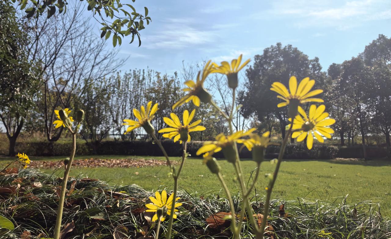 【热评】地球村的两个大户人家吵架了
日本官员离华 未回答媒体提问

11月18日
