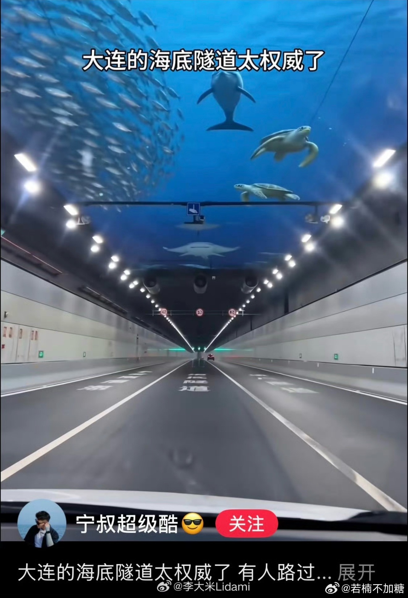 小红书旅游帖 诈骗传说中的你一p我一p 到了现场都懵逼但海底隧道这个有点太离谱了