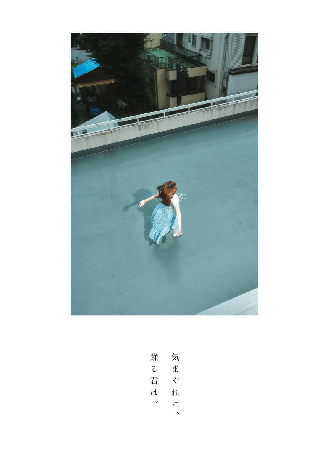 宫野芹