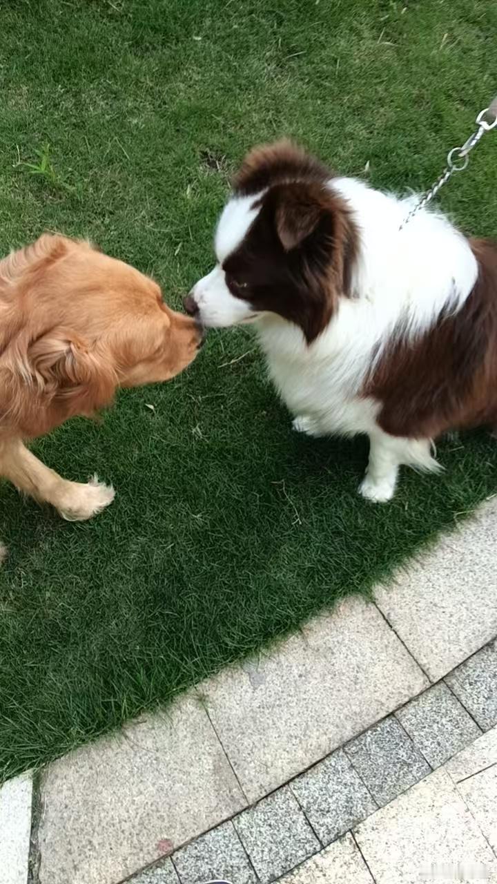 友好邦交中 