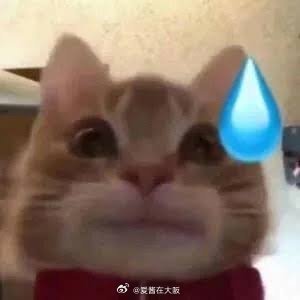 樱花妹朋友看了国内的古偶，开始追国内的男明星，为了刷明星资讯，跑注册小地瓜和 B