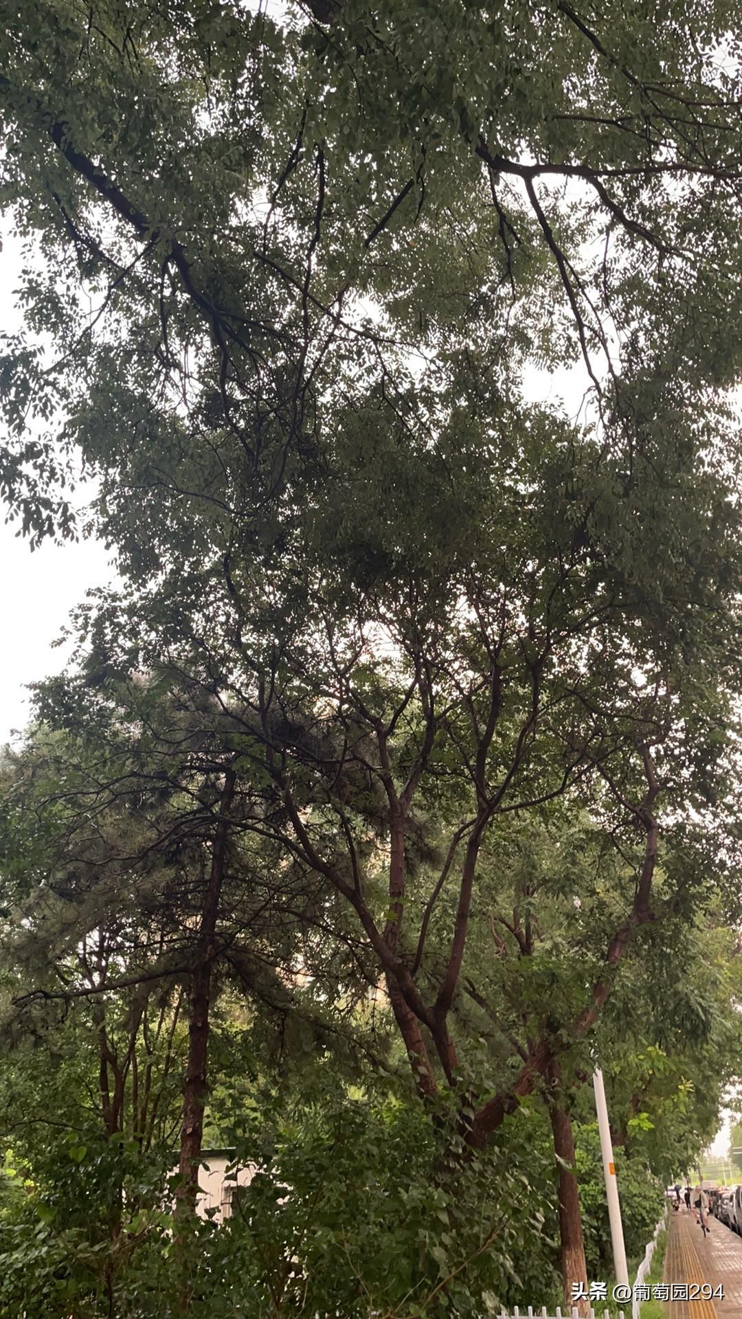 繁华落尽后,能留下的又是什么?繁华是假，安静是真