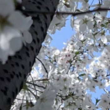 每日一善  每日一善   阳光信用 当你坚信自己的目标能够成功并付出行动，整个世