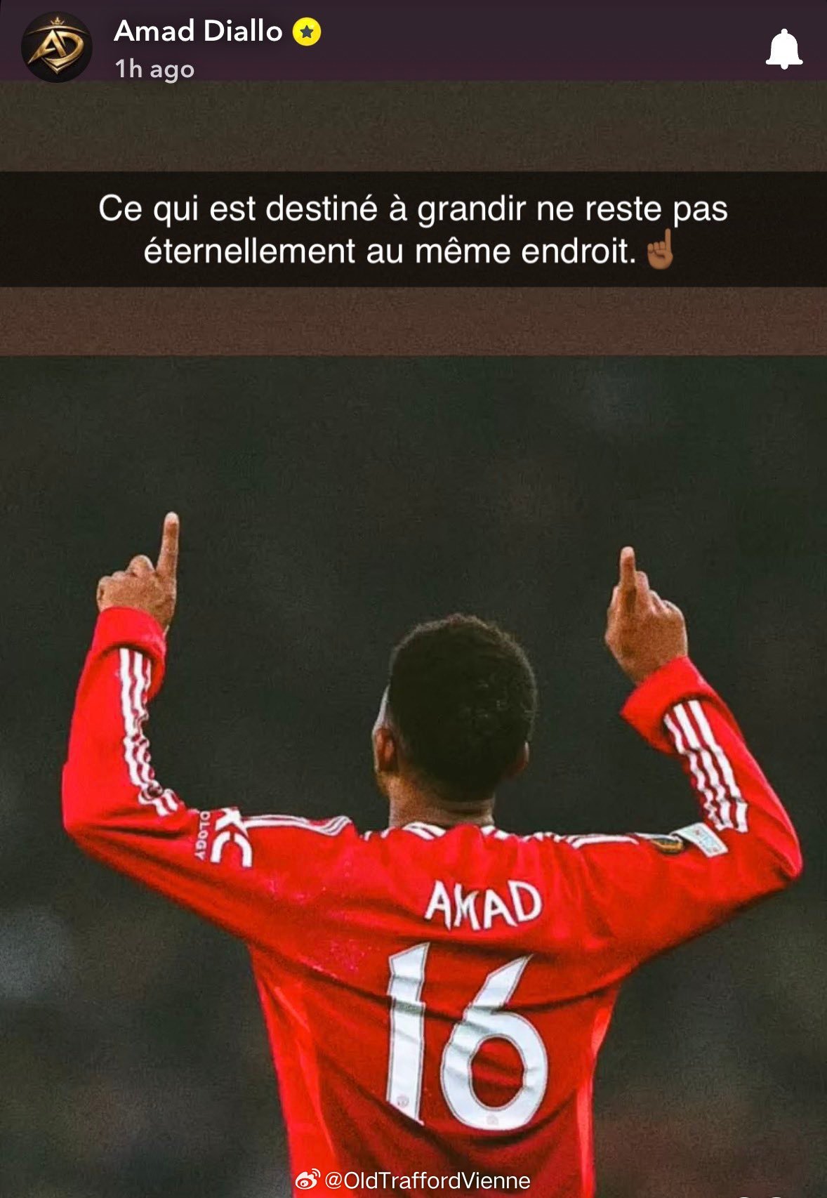 阿玛德想离开曼联了？What is meant to grow does not