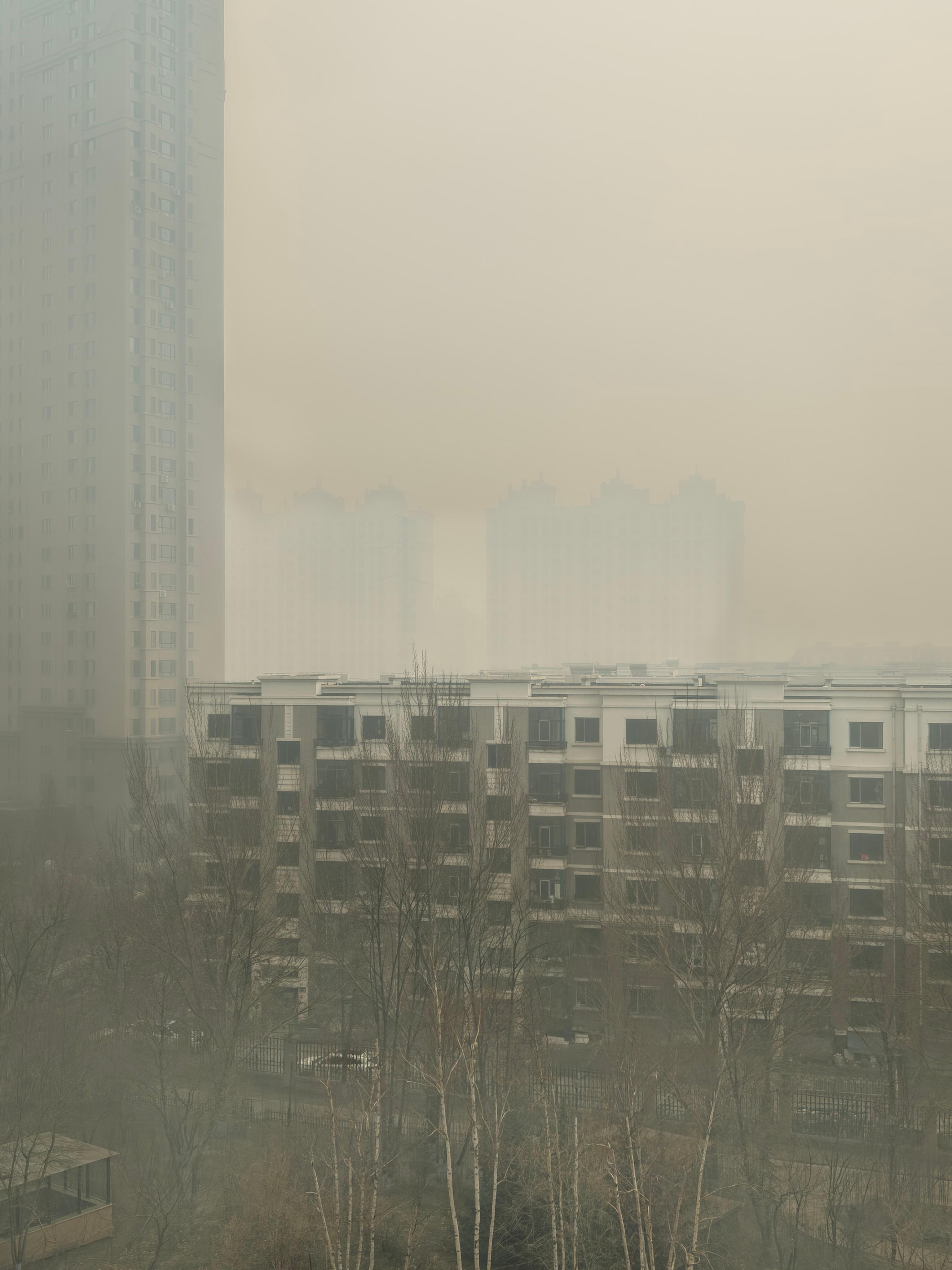 我这天像生化入侵了一样 