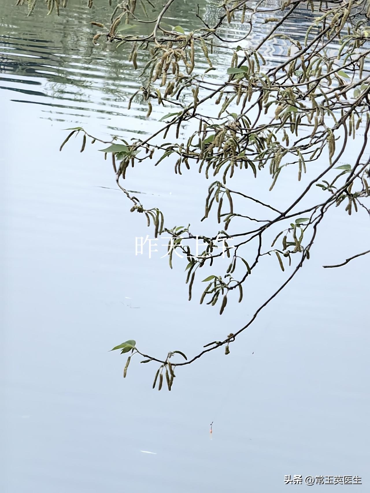 发一张实拍成都天空的美图