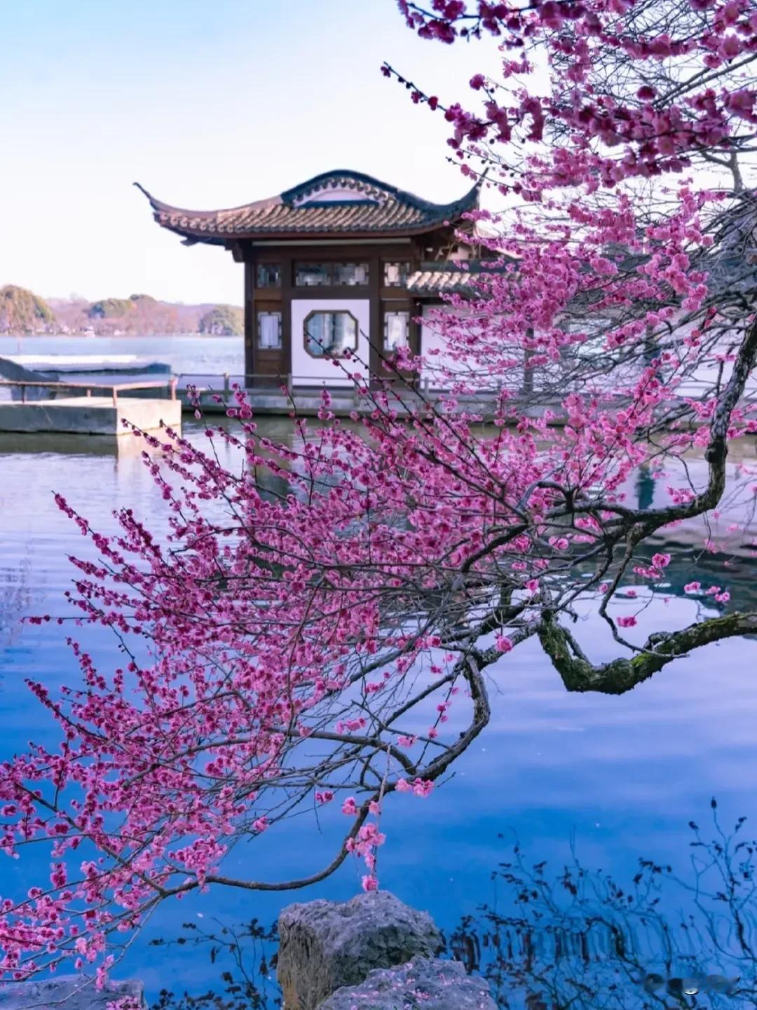 上联:云闲鹤影松间卧
下联:月静梅香石上眠
横批:悠然自得