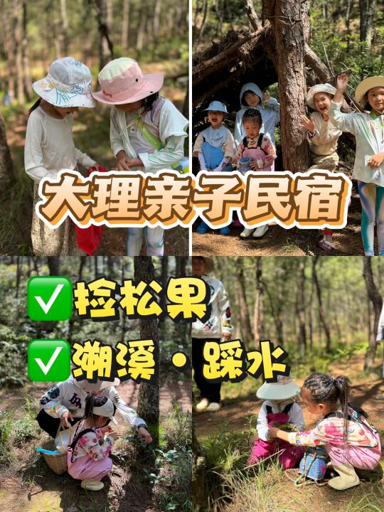 大理亲子民宿｜捡松果✅溯溪✅踩水✅免费