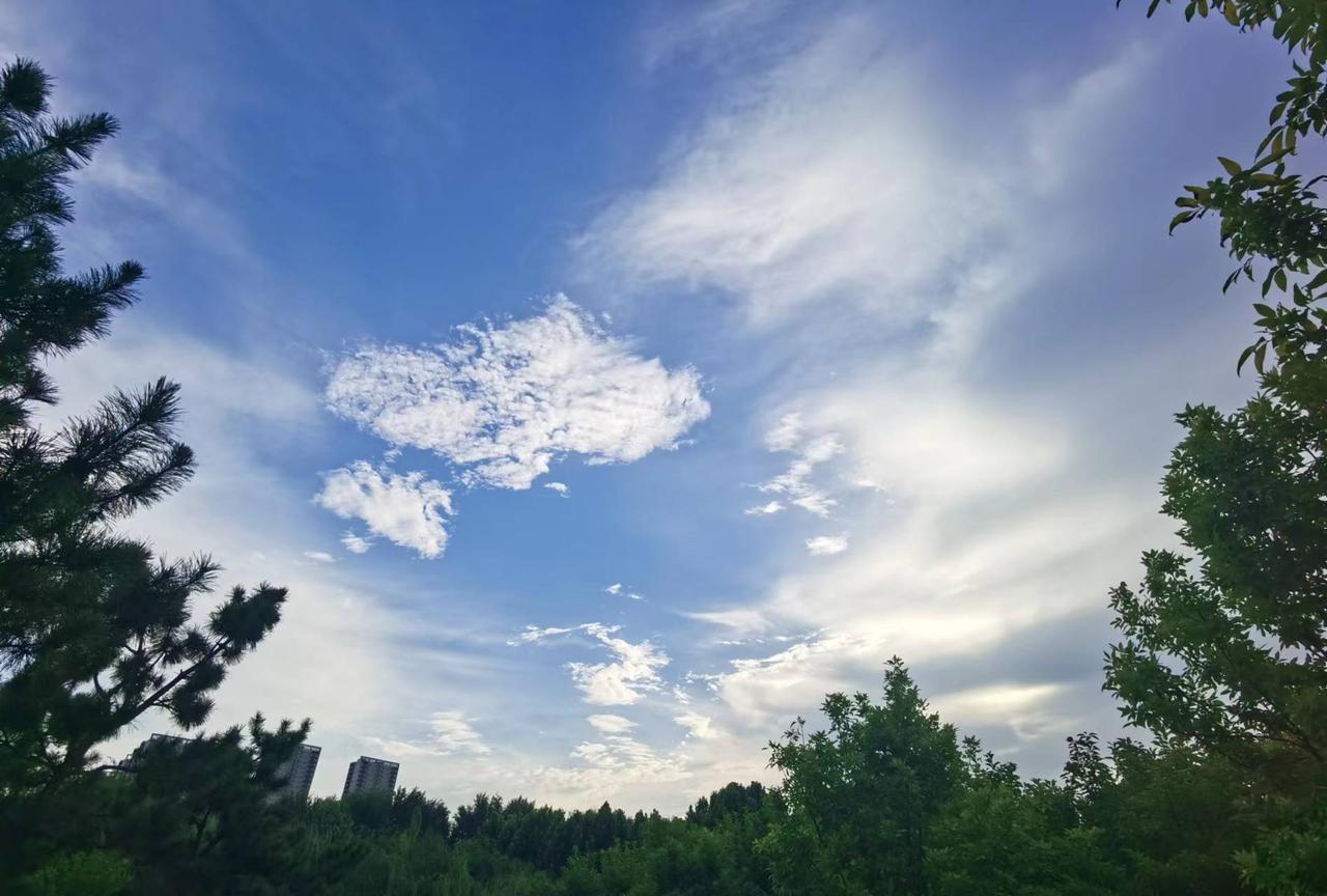 刘聪派堂弟刘畅，率领三万大军，攻击晋帝国荥阳太守李矩。

汉赵军队行动诡秘，在距