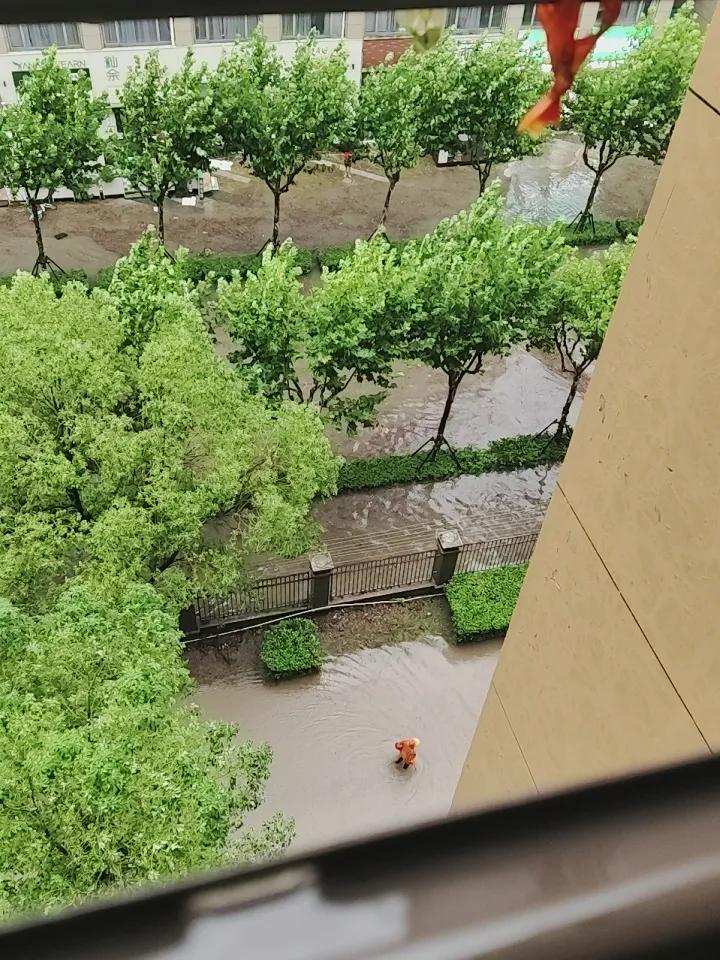 台风对上海地铁运营影响还真不小。就拿之前某次台风来说，好几条运营线都临时停止了。