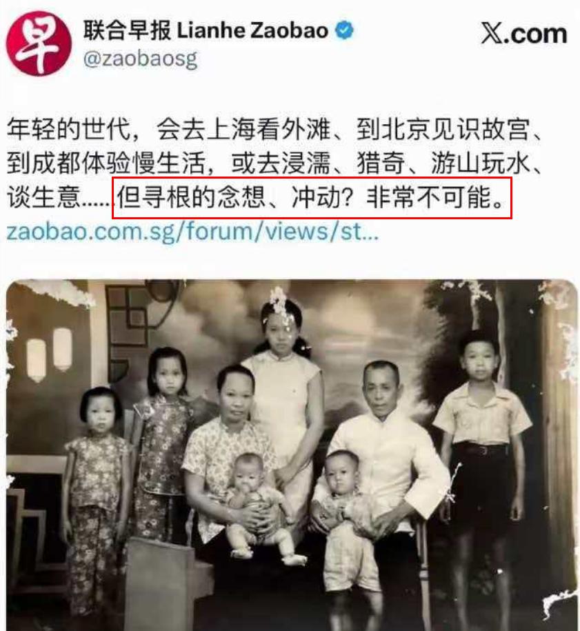 电影《阿嫲》被《联合早报》持续批评，但却给印度电影设专属影院。

一部讲述中国人