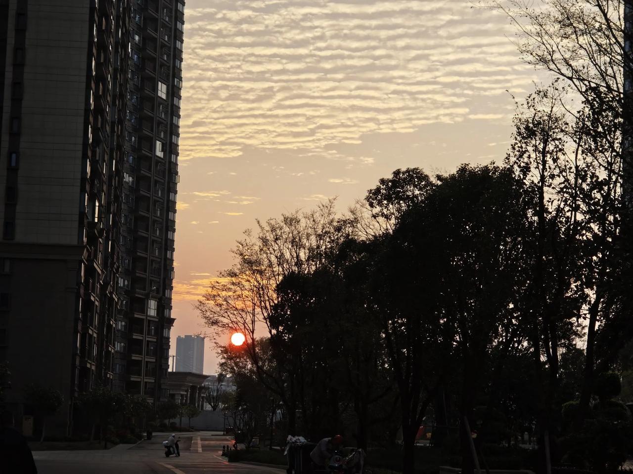 经历过的过往是不能细想的，细想会觉得无比心酸。我这一生，对家庭婚姻用尽了所有力气
