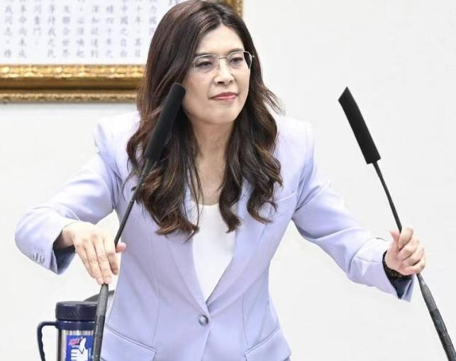 郑丽文还是没顶住！蓝白两党谈妥，最终以 "3000 亿＋4800 亿（新台币）"