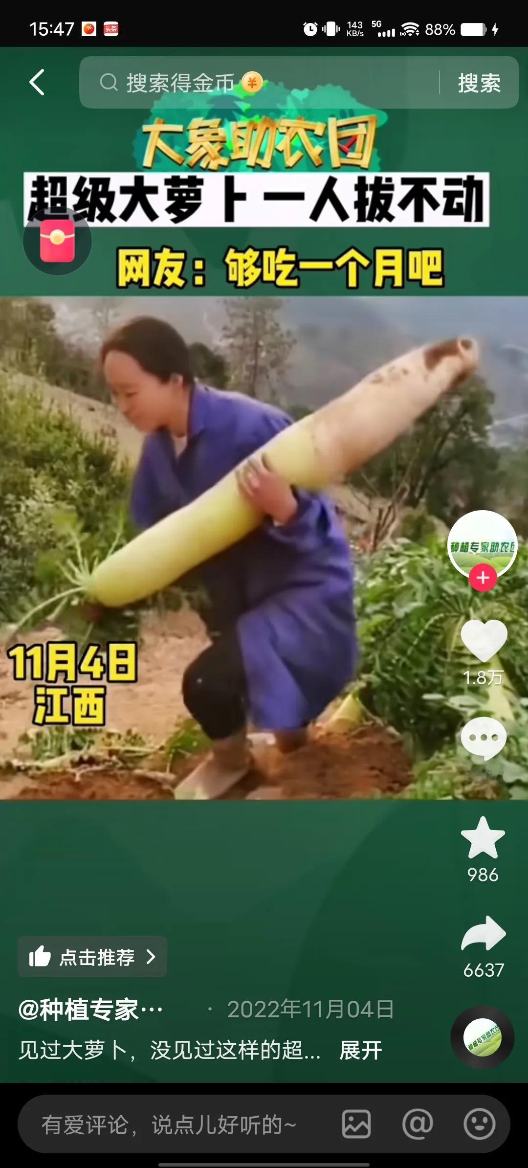 萝卜生长可以无限大，只要精心管理，肥水、温度、土壤松软、病虫害防治到位，有的可以