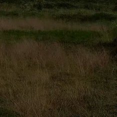 每一个人都可以成为生活中的阳光。用我们的微笑、用我们的善良、用我们的热情去温暖这