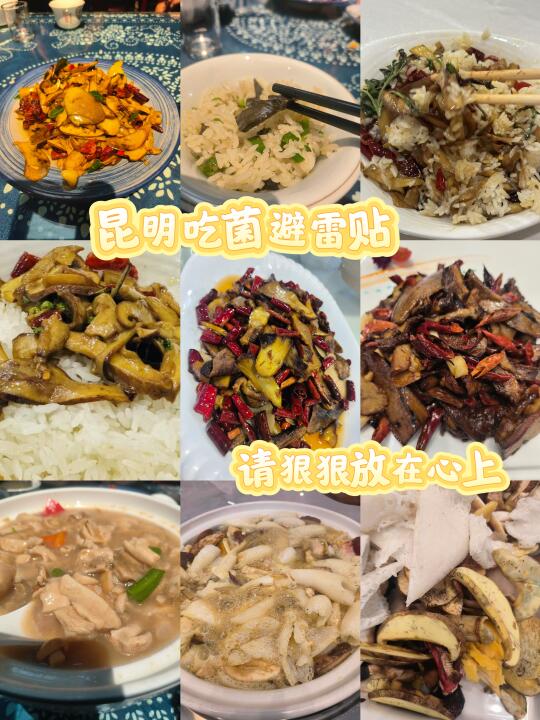 昆明吃菌避雷⚠️！究竟谁在推荐陆顺啊?！