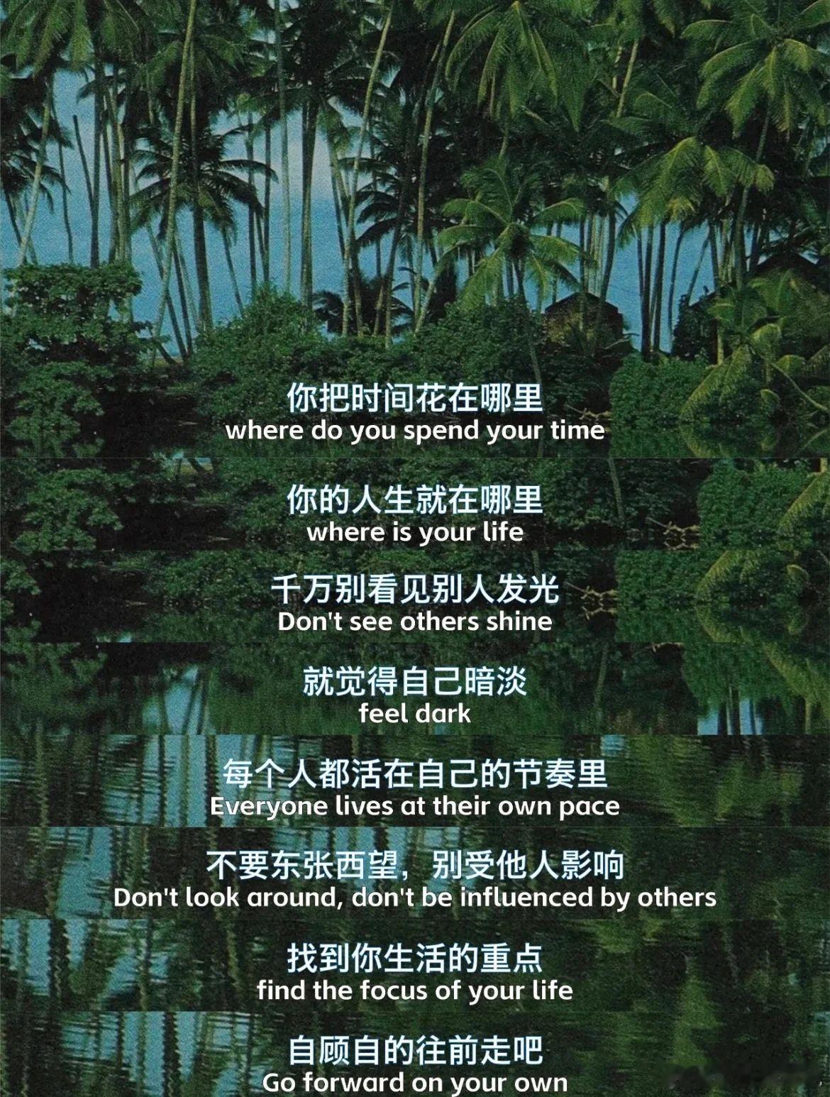 早ﾉ☀钝感力：你说你的，不关我事;屏蔽力：我干我的，不关你事;#早安# [微风]