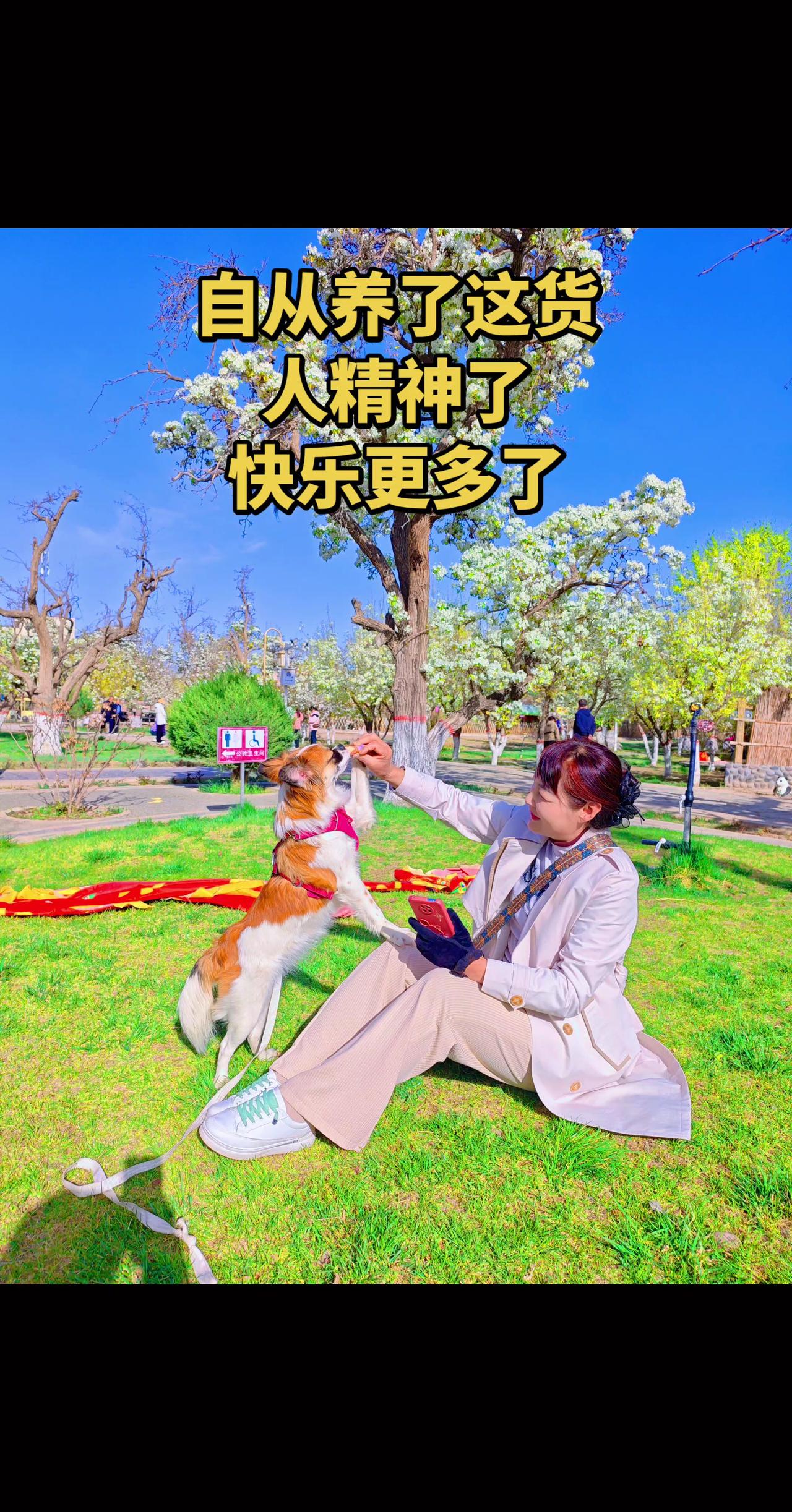 快乐的时光