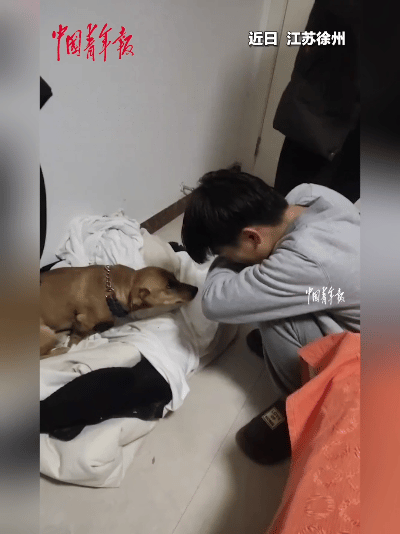 笑翻全网！小狗贪玩久不回家，被父子默契演戏温柔教育❤️
 
狗狗天性爱玩爱乱跑，