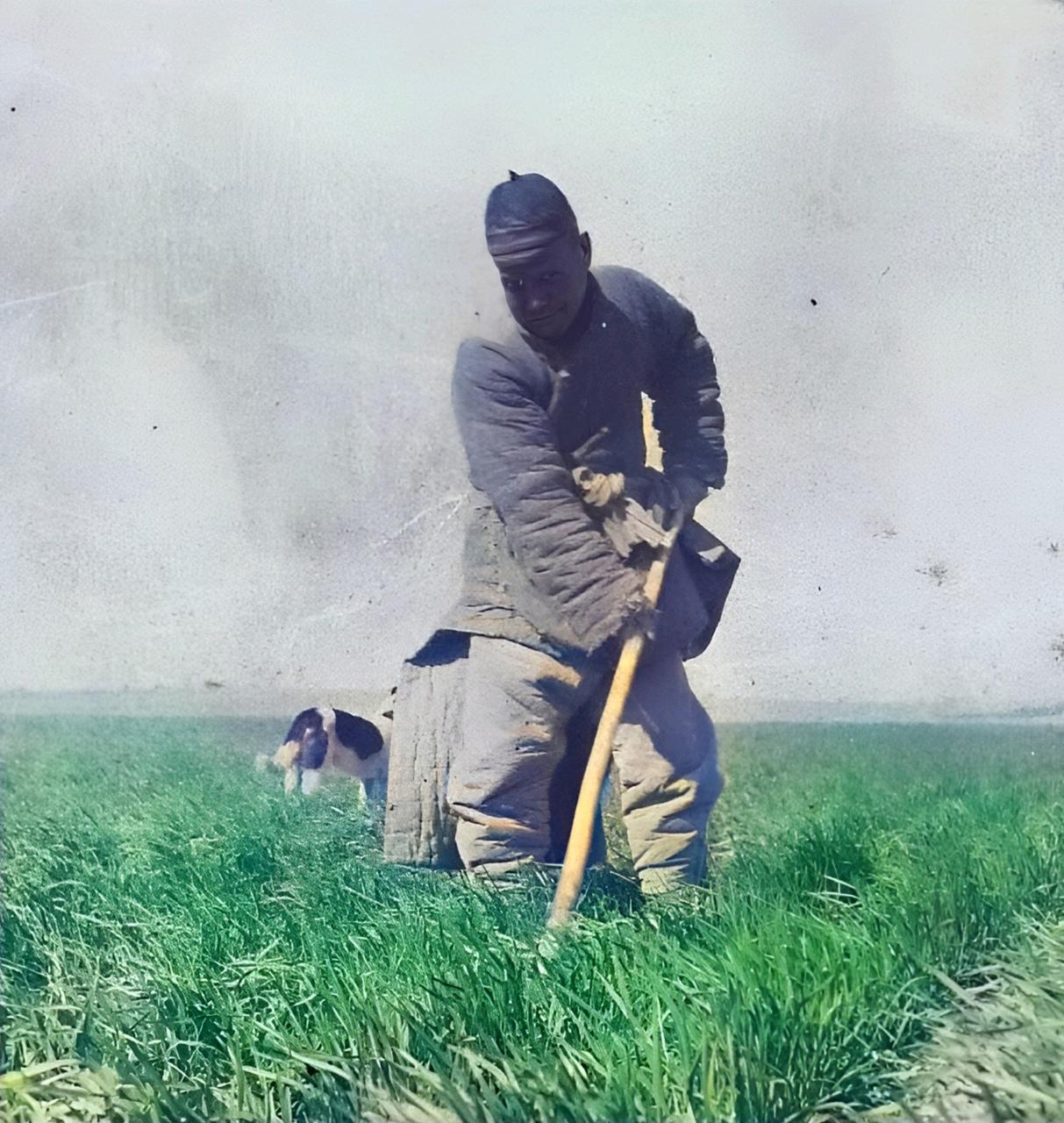 1943年，河北霸县高庄。村民李杰扛着锄头下地，刚走到村外树丛边，忽然听见草里有