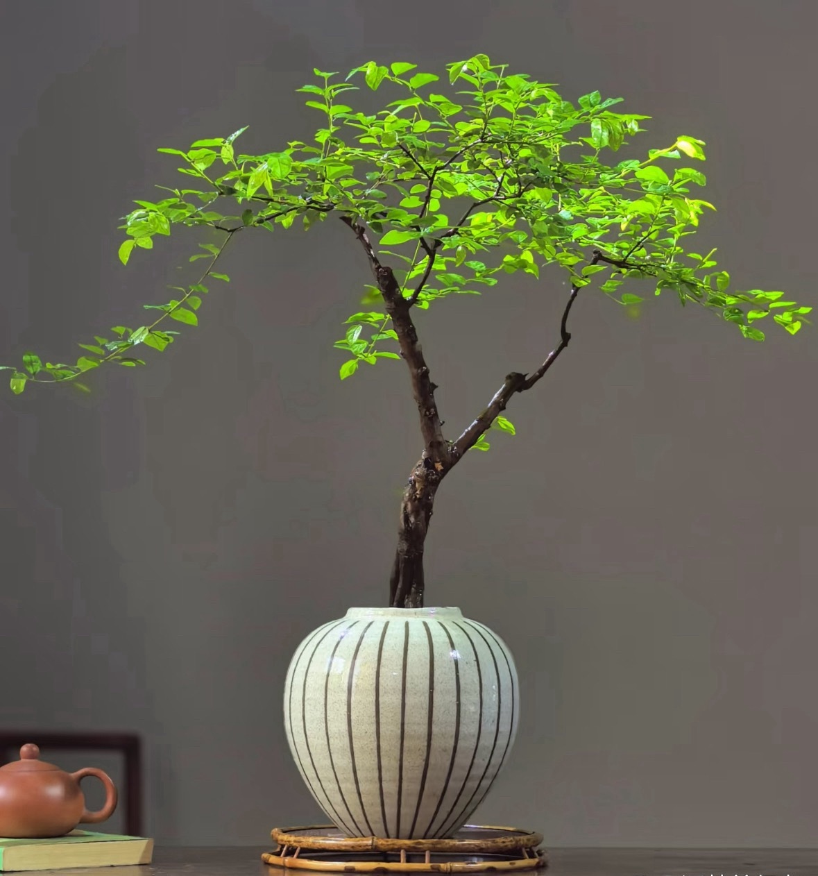 反弹过后，你们仓位太高的自己减持一些，别老是梭哈，然后机构出货一跌就嗷嗷叫。还好