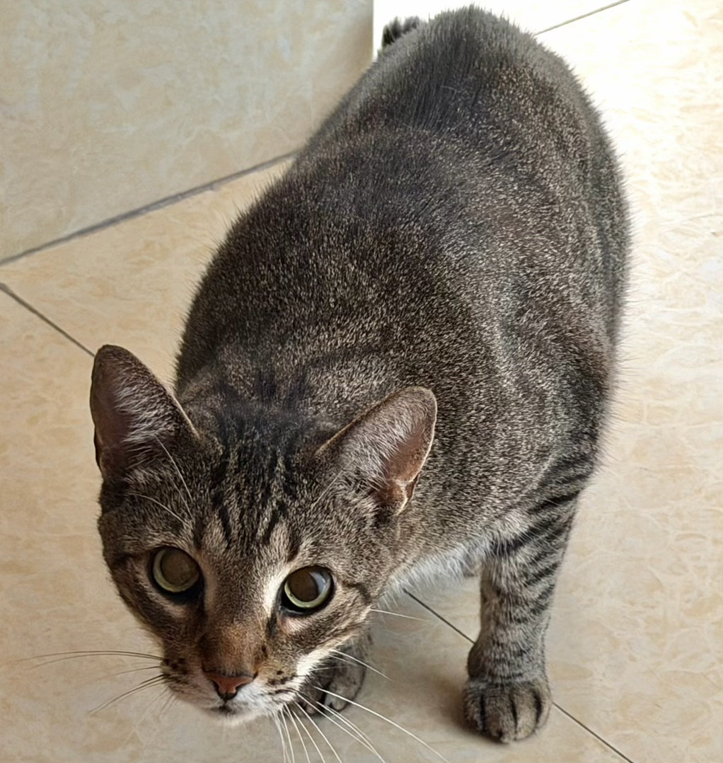 我洗澡我儿：“大黑耗子啥时候让我也玩两把呢？”