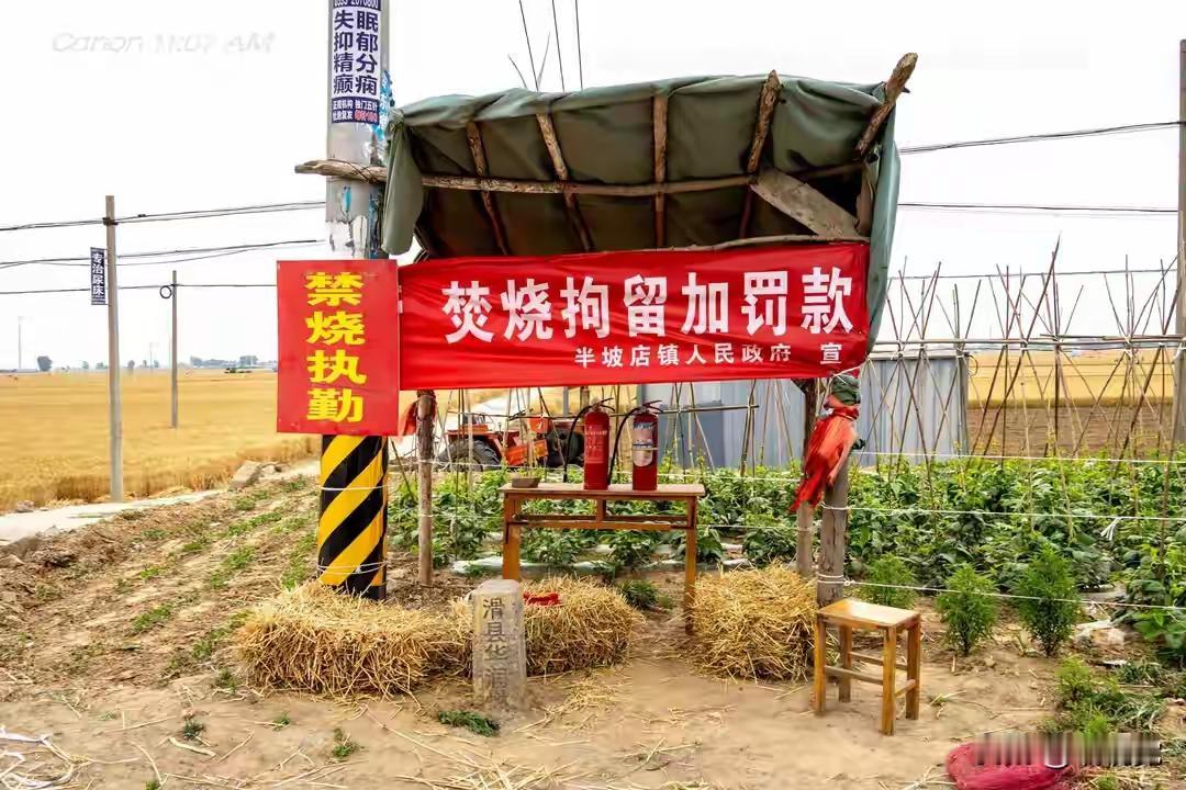 一直引发群众关注的全面禁止焚烧秸秆的“一刀切”政策就要终结了！8月15日起正式实