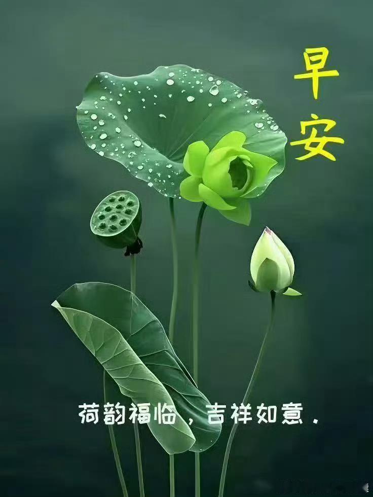 弘一法师：凡是劝不动的，拦不住的，那就是命。但凡有一个人拼死都不听劝，那说明，这
