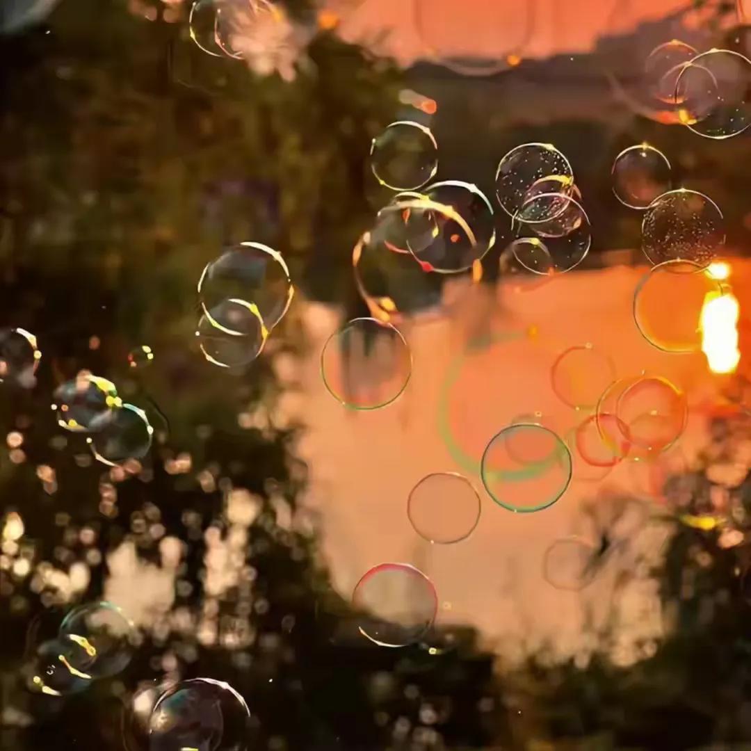 偏执是你太想要证明，恐惧是你太想要安全。当我们被各种心理疾病束缚时，不妨停下脚步
