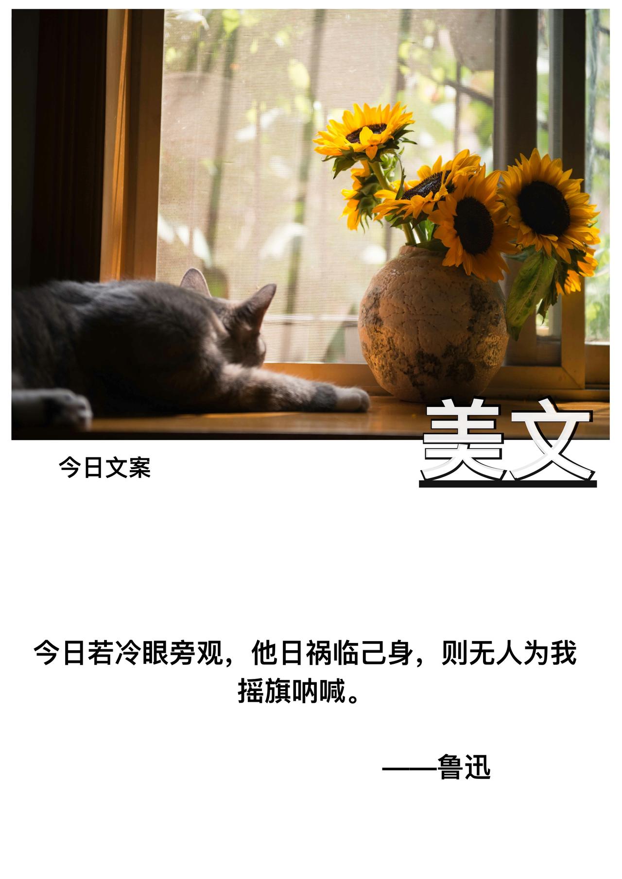 今日若冷眼旁观

他日祸临己身

则无人为我摇旗呐喊

            